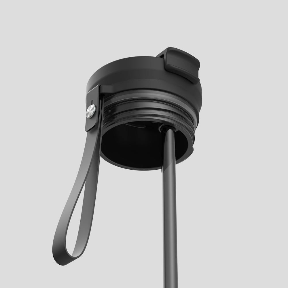 24oz DualSip Bottle - Licorice Bronze
