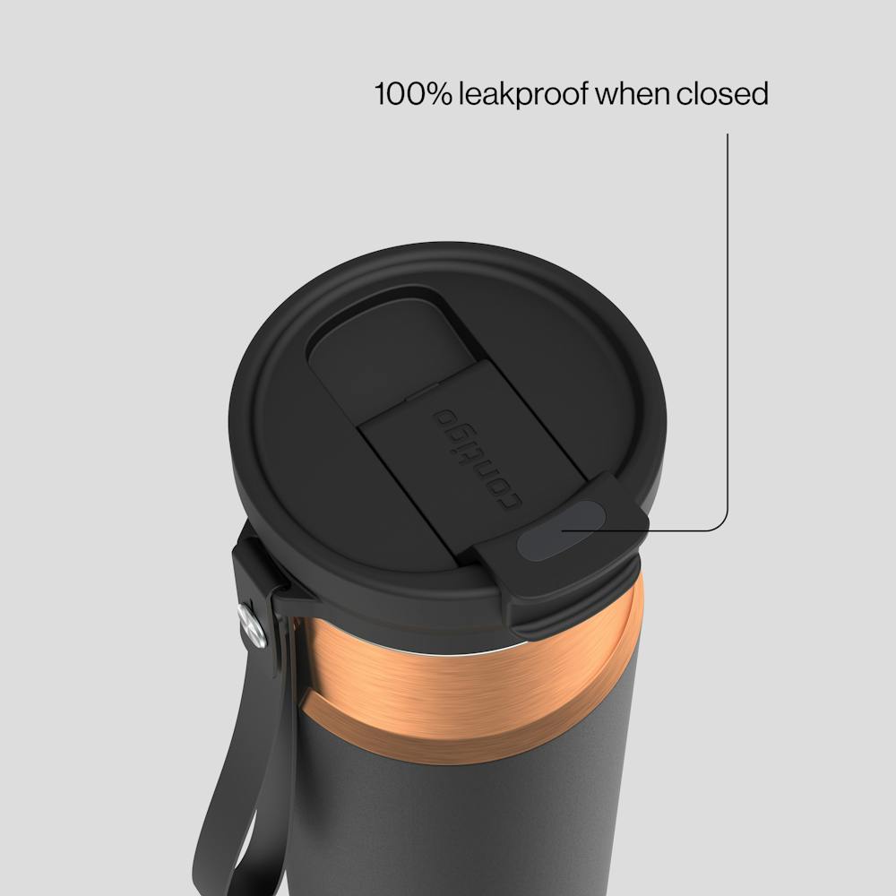 24oz DualSip Bottle - Licorice Bronze